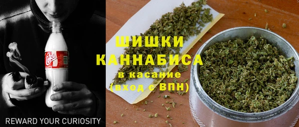 ГАЛЛЮЦИНОГЕННЫЕ ГРИБЫ Михайловск
