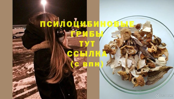 ГАЛЛЮЦИНОГЕННЫЕ ГРИБЫ Михайловск