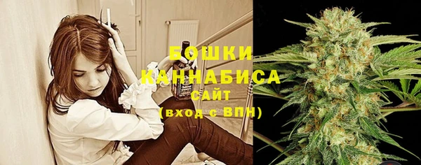 гидра Беслан